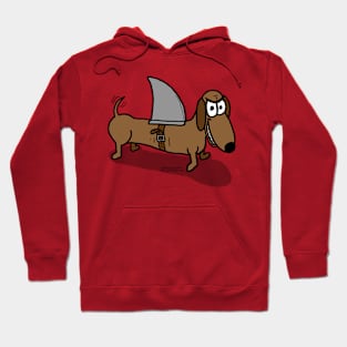 Wiener Dog with a Shark Fin Hoodie